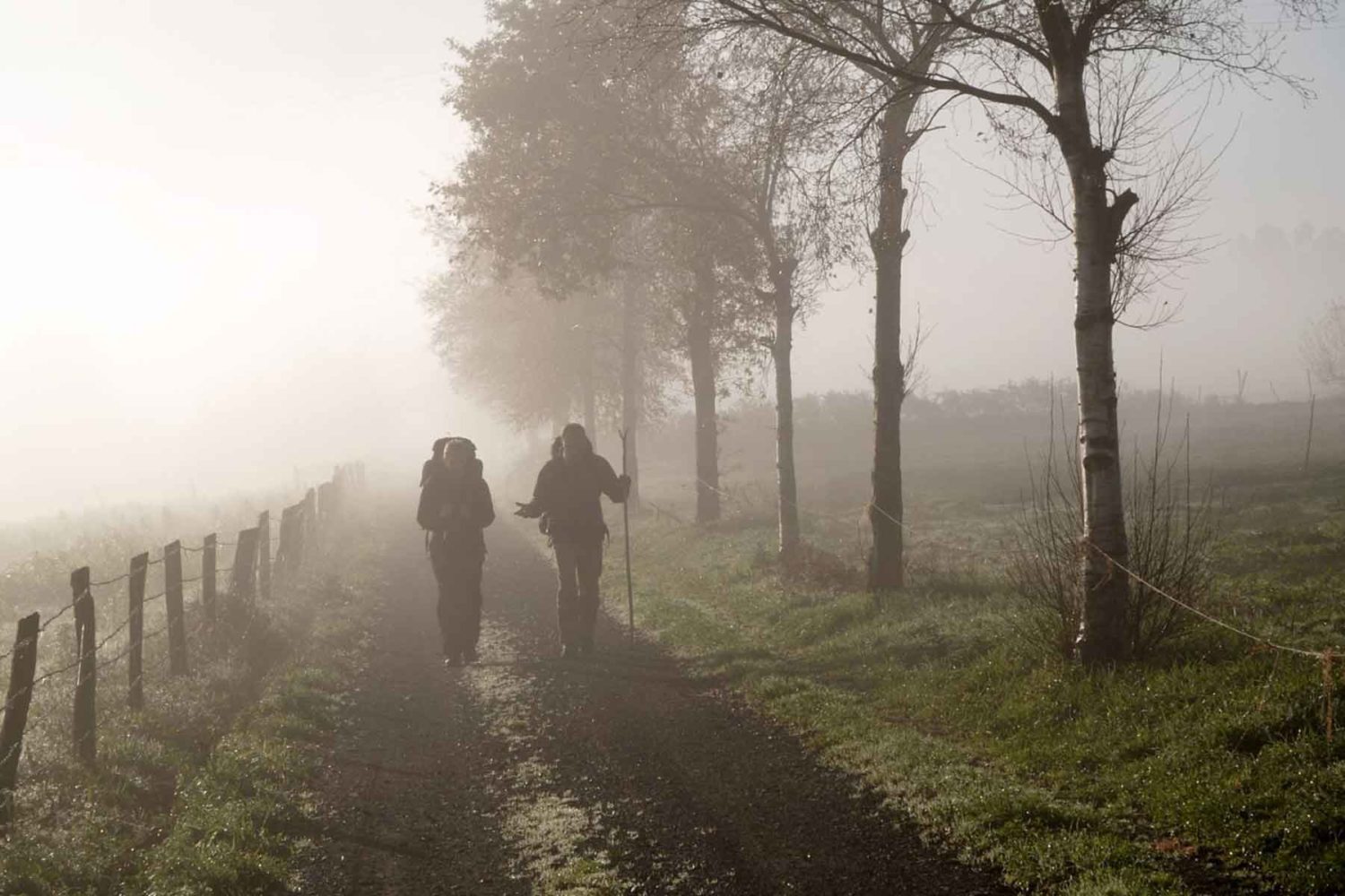 french path pilgrims- Pilgrims Way to Santiago l Camino de Santiago Path