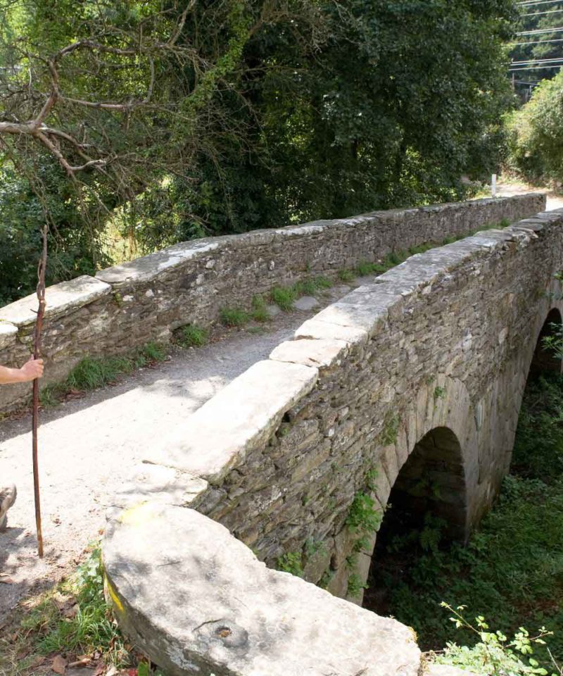 Pilgrims Way to Santiago l Camino de Santiago Path