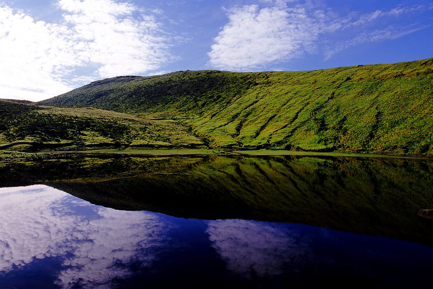 pico-discover azores islands