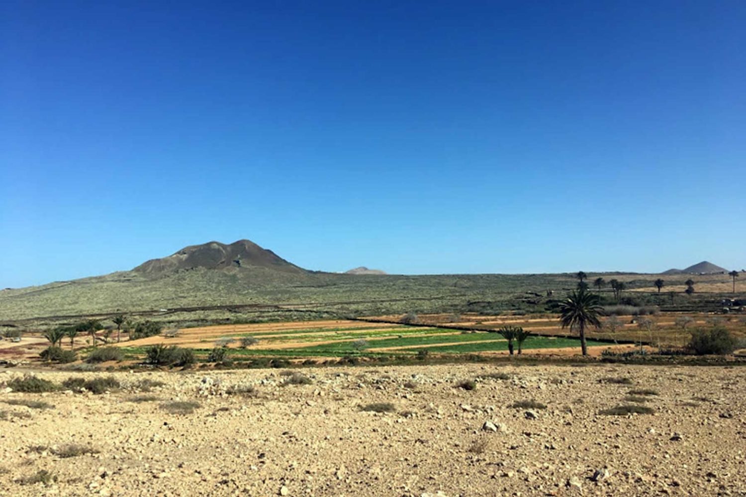 fuerteventura-canary islands