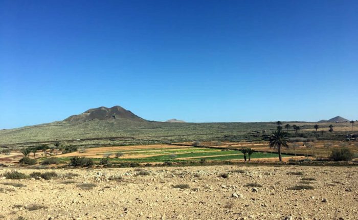 fuerteventura-canary islands