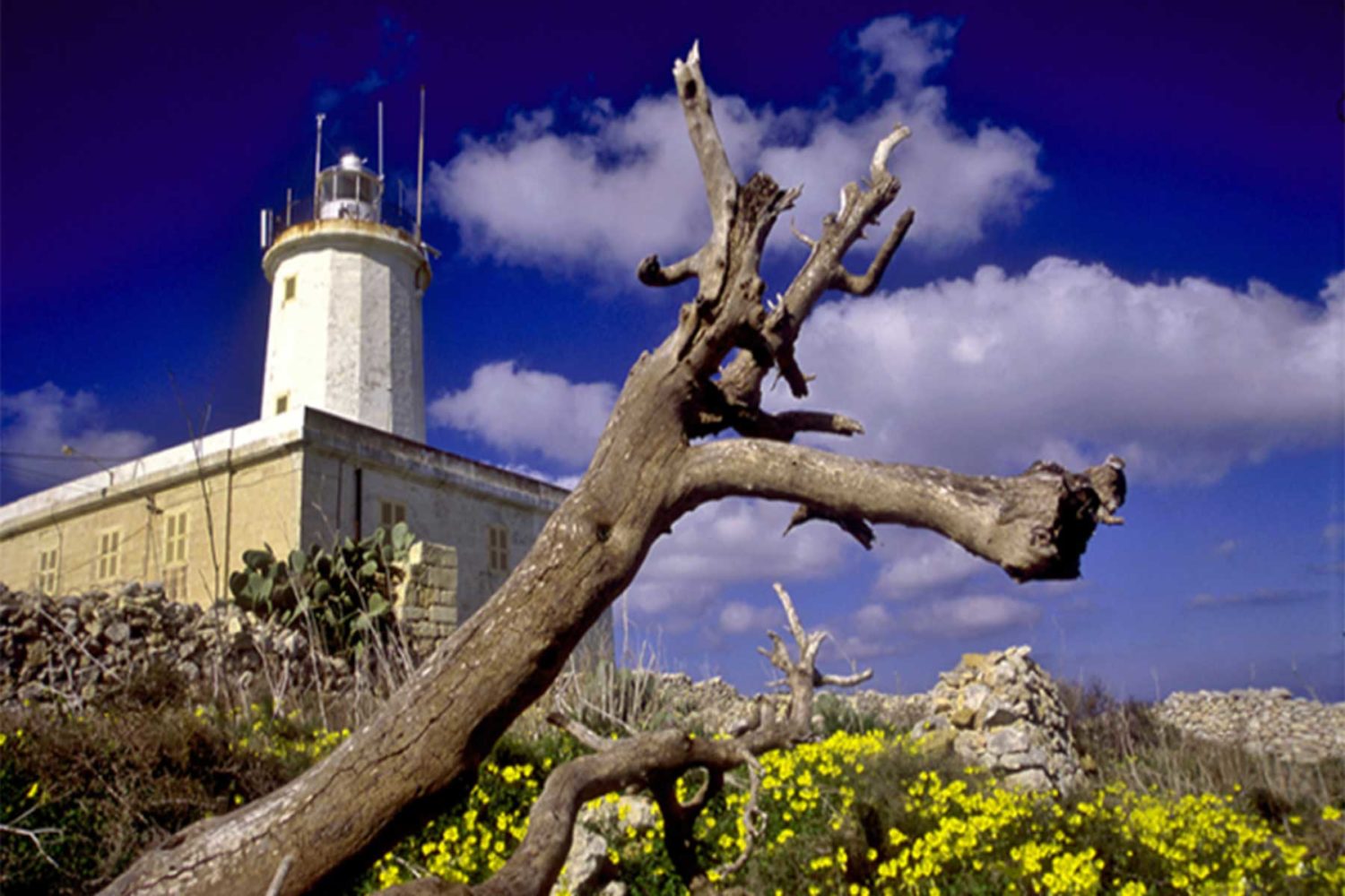 giordan-explore malta lighthouses