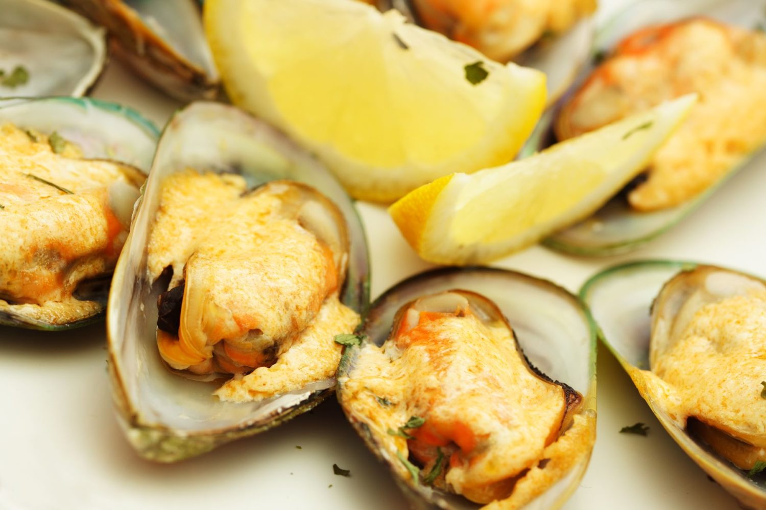 mussels- Gastronomic Tour in Puglia | Gourmet & Wine Tour Puglia