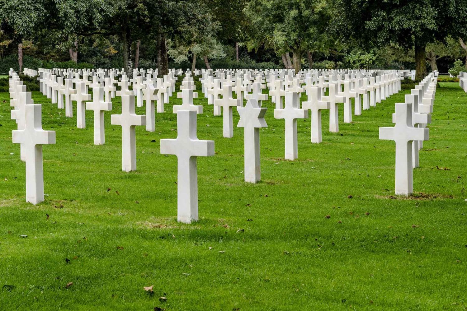 cemetery colleville sur mer- normandy-