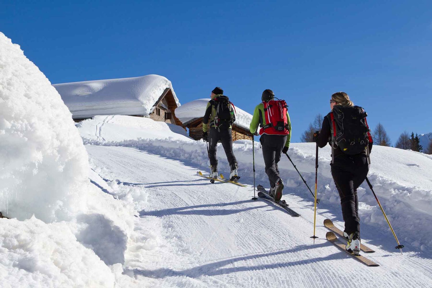 skiers on tour-skitour in the Dolomites