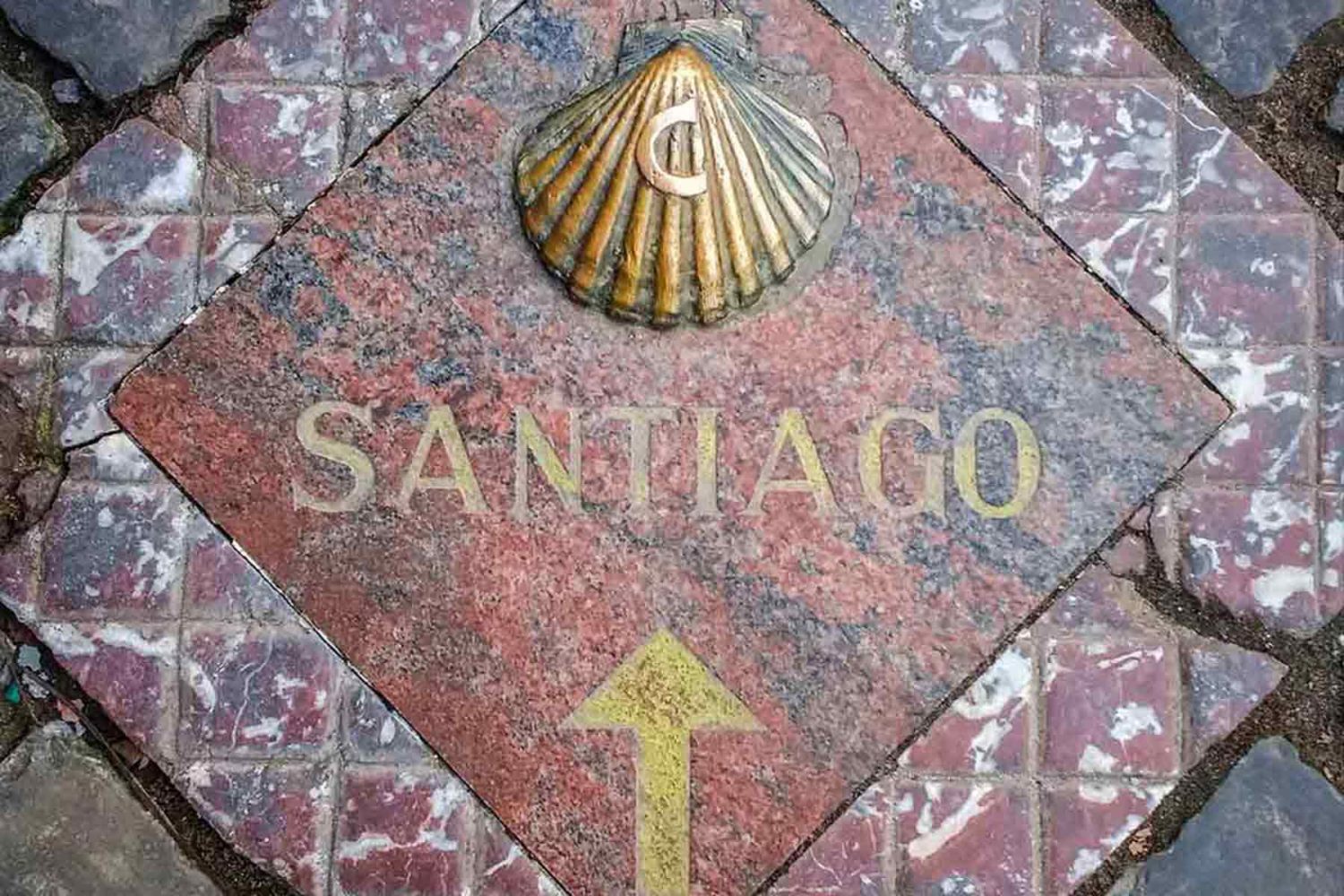 camino de santiago shell