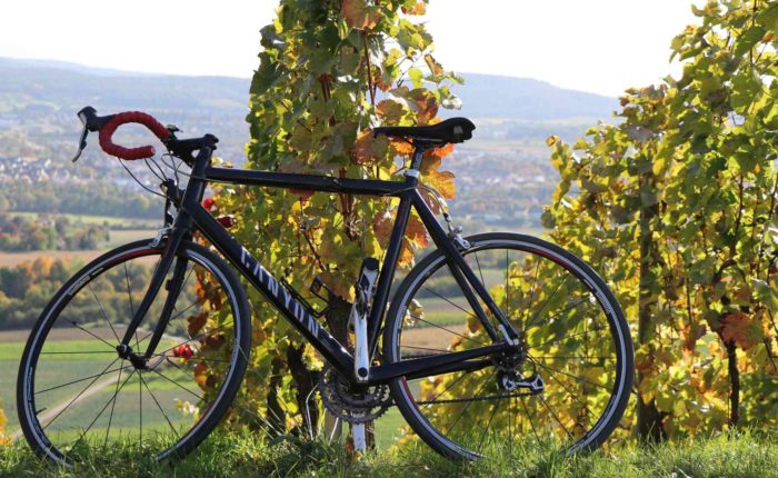 vineyard in Gironde- Bordeaux cycling tour