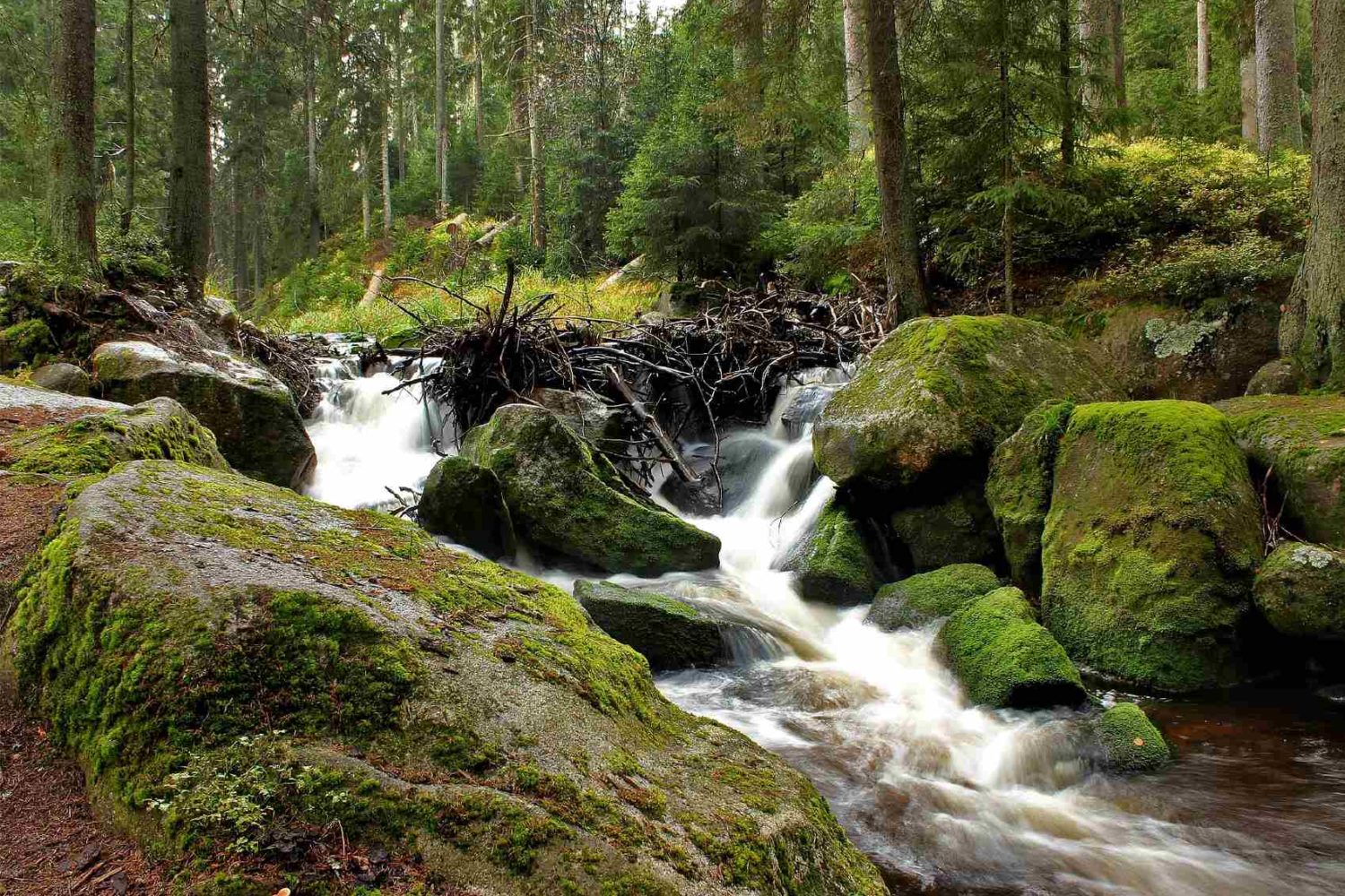 sumava waterfall