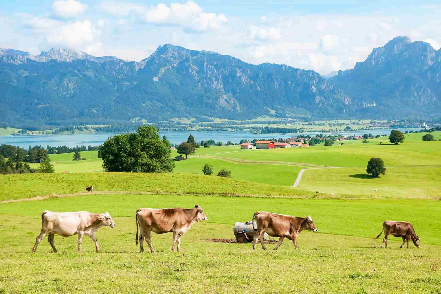 allgau- walking holidays in Bavaria