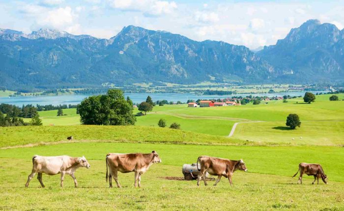 allgau- walking holidays in Bavaria