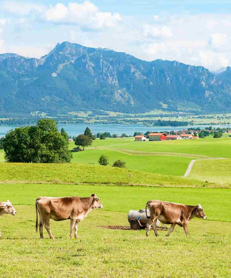 allgau- walking holidays in Bavaria