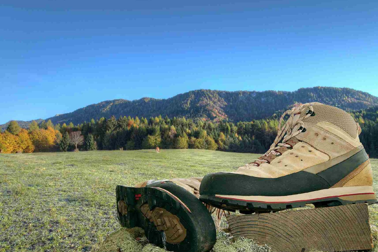 hiker shoes- walking holidays in Bavaria