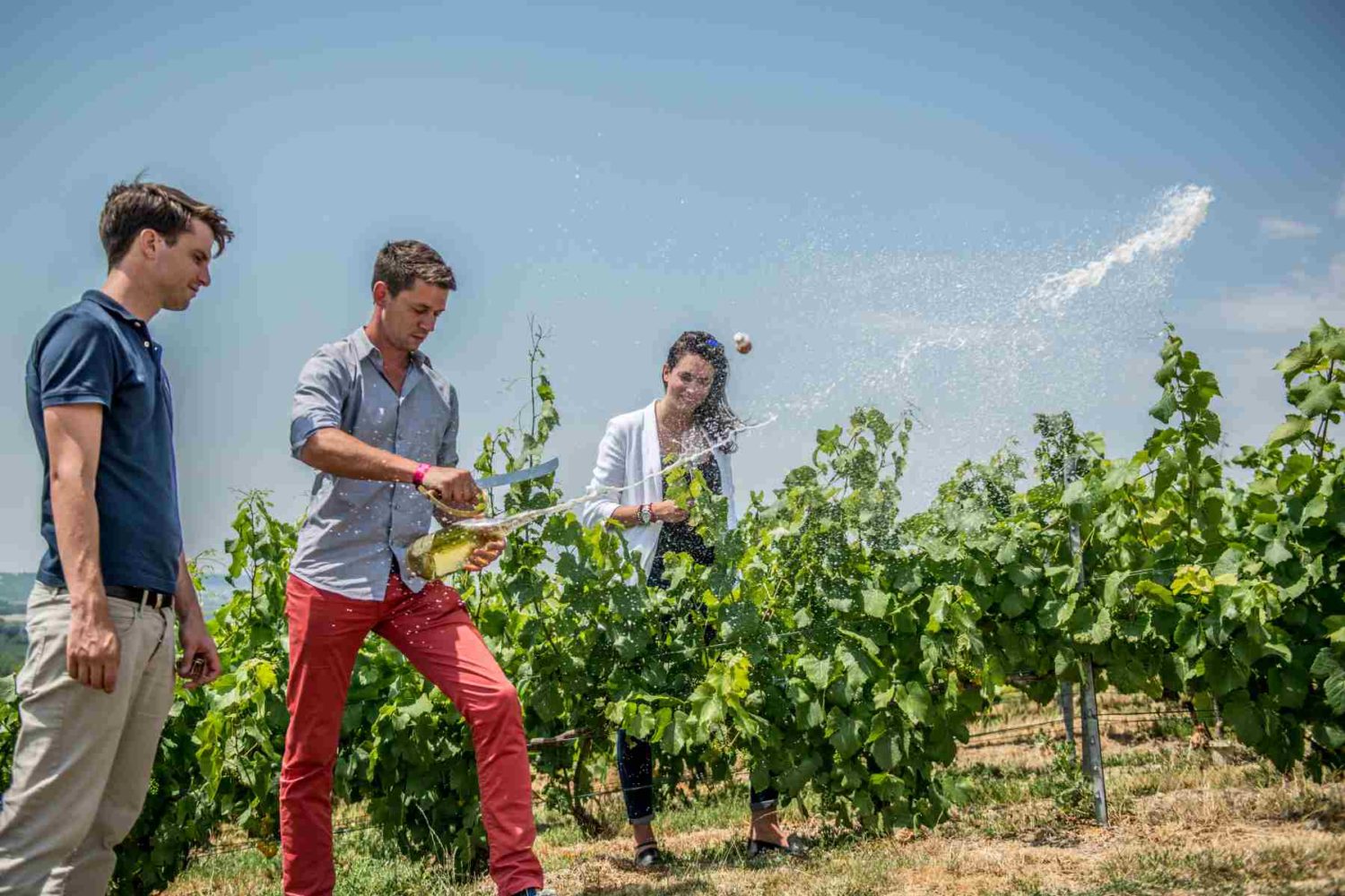 vineyards- mareuil-sur-ay- champagne tasting tour