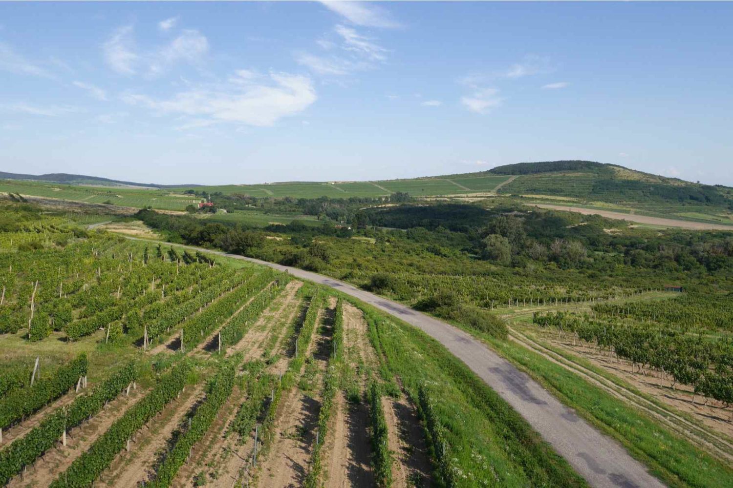 tokaj -tasting tour Hungary