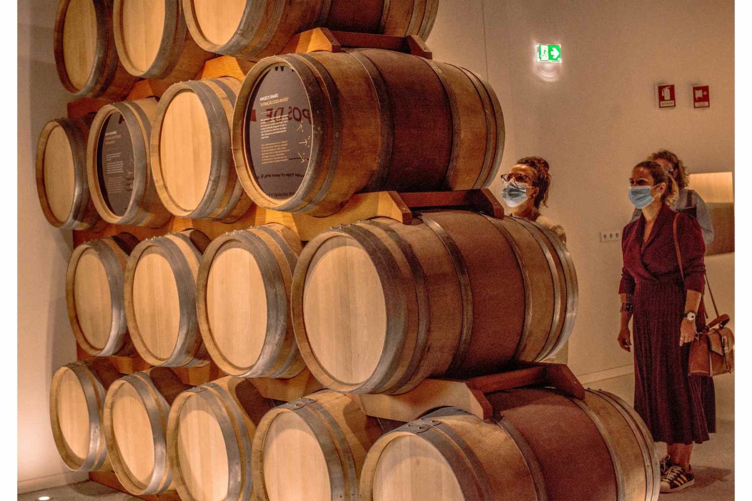 wine barrel-tasting tour Hungary